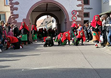 Fasnet 2019/2020