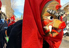 Fasnet 2019/2020