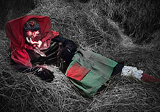 Fasnet-Fotoaktion 2021